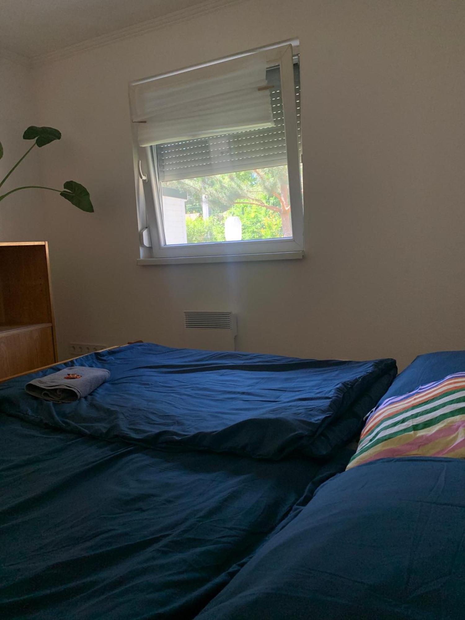 Marika Vendeghaz Villa Szigetmonostor Buitenkant foto